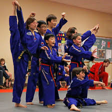 Image result for White Tiger Martial Arts