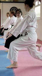 Image result for Exeter Taido Club