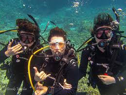 Image result for Manta Divers Sub-Aqua Club
