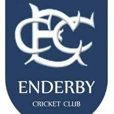 Image result for Gilberdyke Cricket Club