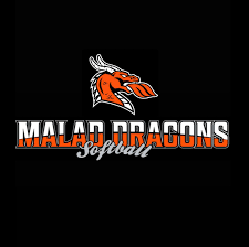 Image result for Dragons Softball Club