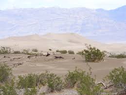 Image result for Dearne Valley Devils