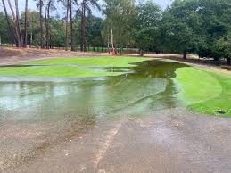 Image result for Puttenham Golf Club
