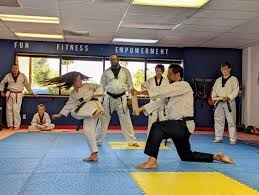 Image result for Tkd Self Defense