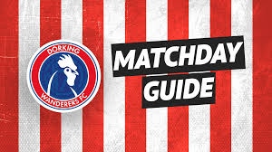 Image result for Dorking Wanderers F C