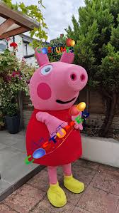 Image result for peppa pig costume