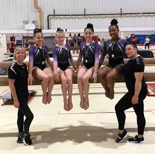 Image result for South Essex Gymnastics Club