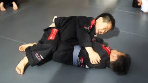 Image result for Bully Me Now Mixed Martial Arts