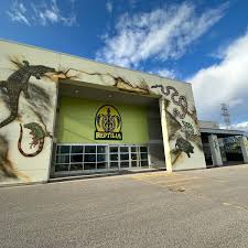 Attēlu rezultāti vaicājumam “Reptilia”