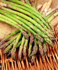 Attēlu rezultāti vaicājumam “Asparagus officinalis fruit”
