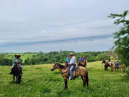 Image result for Lakes Riding Club