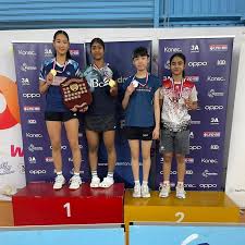 Image result for Link Ladies Badminton Club