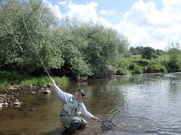 Image result for Reigate & District Angling Association