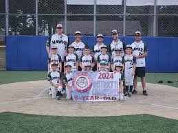 Image result for Hessle Baseball Club