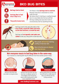 Image result for bed bug bites
