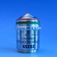 Attēlu rezultāti vaicājumam “Licea minima macro”