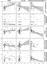 Attēlu rezultāti vaicājumam “x Sorbaronia fallax”