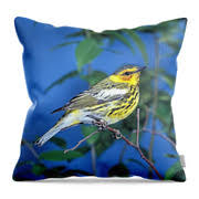 Image result for Dendroica tigrina