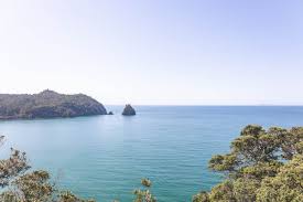 Image result for new chums beach