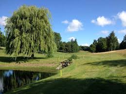 Image result for Welwyn Garden City Cricket Club