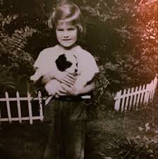 Attēlu rezultāti vaicājumam “Licea pusilla young”