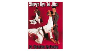 Image result for Tae-jitsu