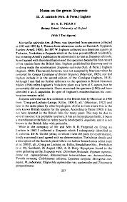 Attēlu rezultāti vaicājumam “Scapania lingulata”