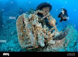 Image result for Bedford Scuba Divers