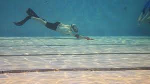 Image result for Inverness Octopush Club