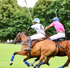 Image result for Inglesham Polo Centre