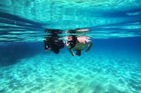 Image result for East Snorkellers