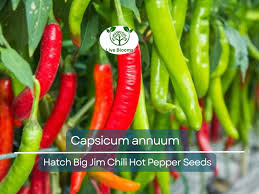 Afbeeldingsresultaat voor numex sandia hot pepper