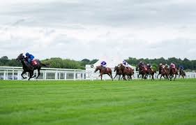 Image result for Acomb Sports Club