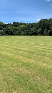 Image result for Dulverton Cc