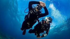 Image result for Southdown Divers