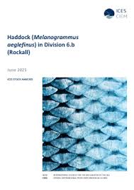 Image result for Melanogrammus aeglefinus