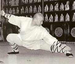 Image result for Shaolin Ancestors kung Fu School