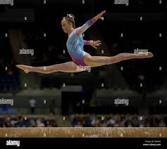 Image result for Wiltshire School Of Gymnastics