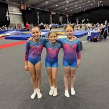 Image result for Exeter Gymnastics Club
