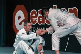 Image result for Martial Art Centre of Excellence