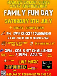 Image result for Hadlow Cricket Club