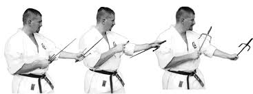 Image result for Sai Martial Arts