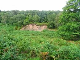 Image result for Rugeley Rifle Club