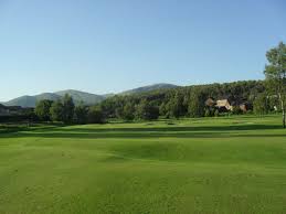 Image result for Braehead Golf Club
