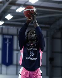 Image result for Sheffield Hatters Basketball Club