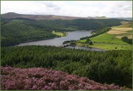 Image result for Derwent Valley Atc