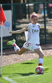 Image result for Pegasus (Sevenoaks) Badminton Club