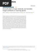 Attēlu rezultāti vaicājumam “Craterium aureonucleatum young”