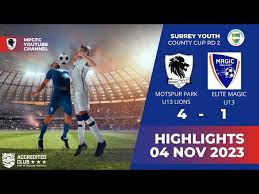 Image result for Elite Football Surrey