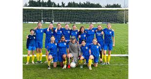 Image result for Welwyn Garden City Panshanger Football Club